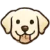 Собаки